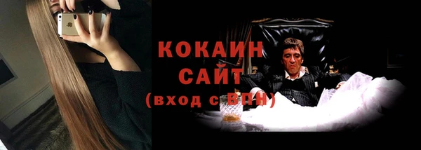 шишки Киренск
