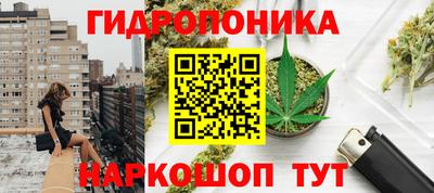 крисы Заводоуковск