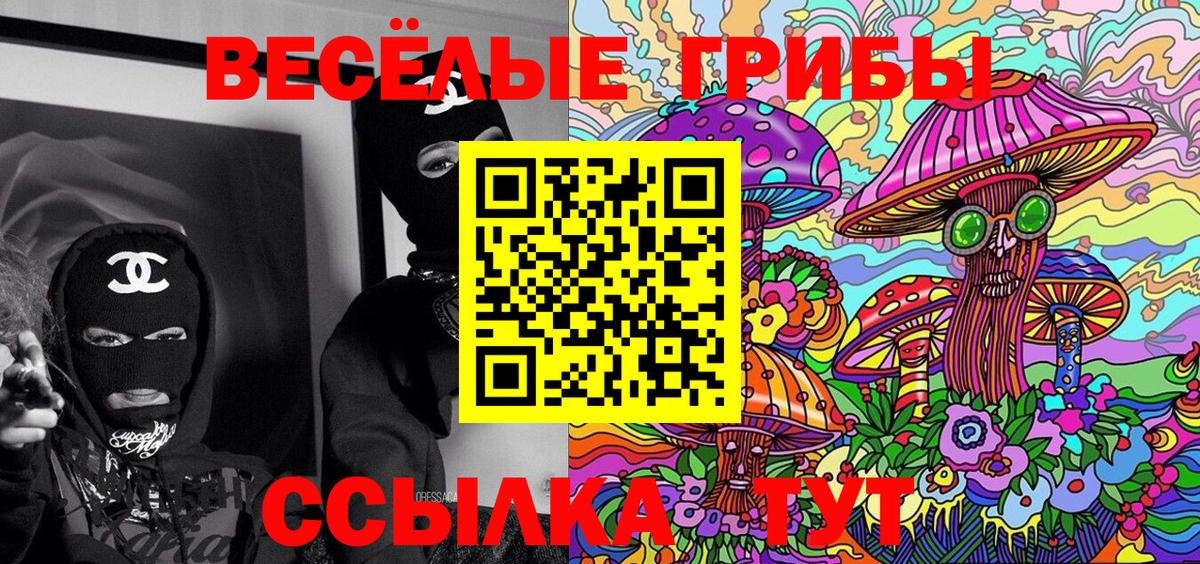 Галлюциногенные грибы Psilocybe Муром